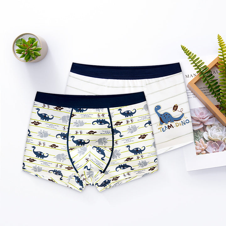 Boy’s Cotton Boxer Underwear - Shoperky